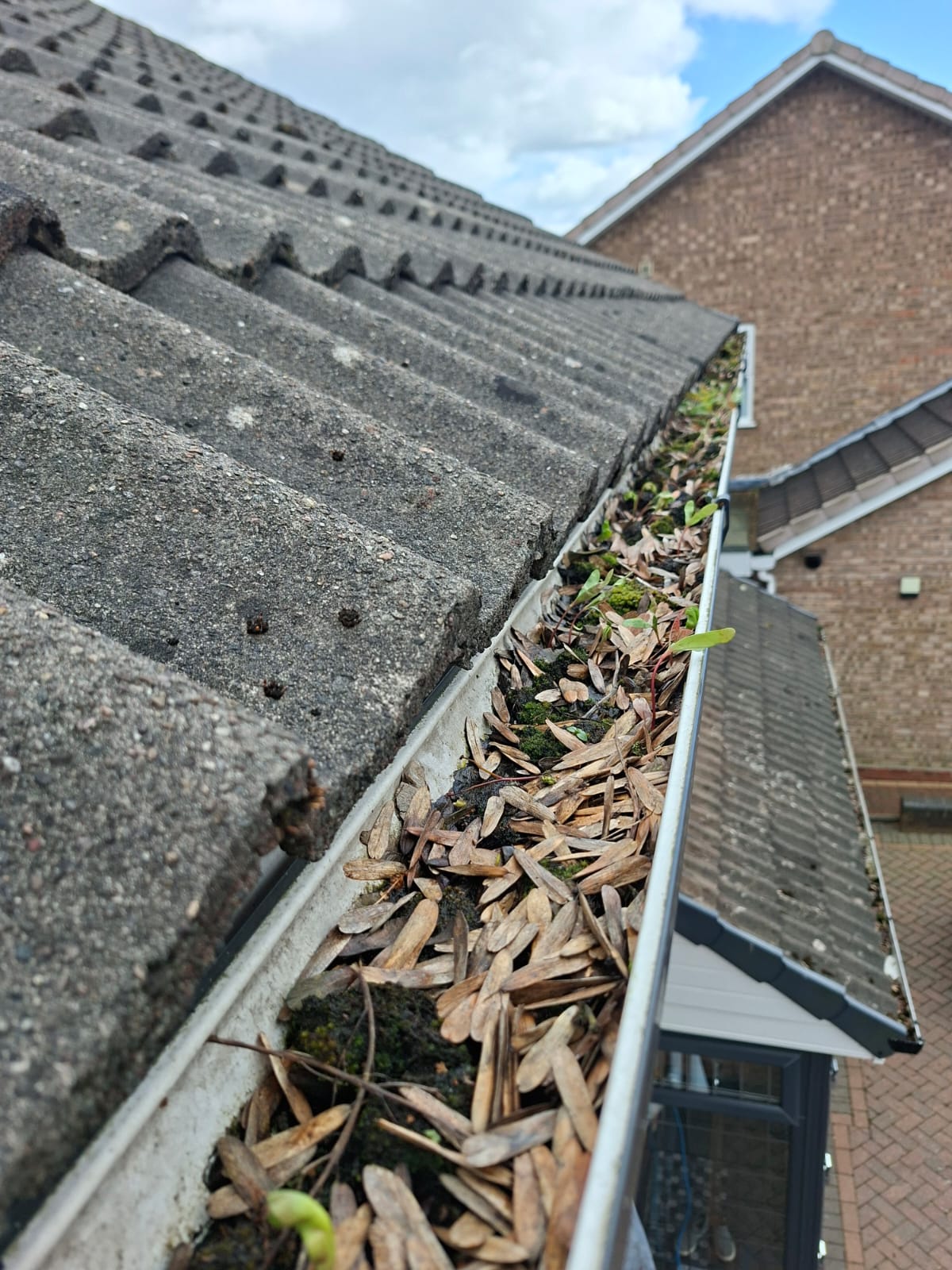 Gutter Inspection